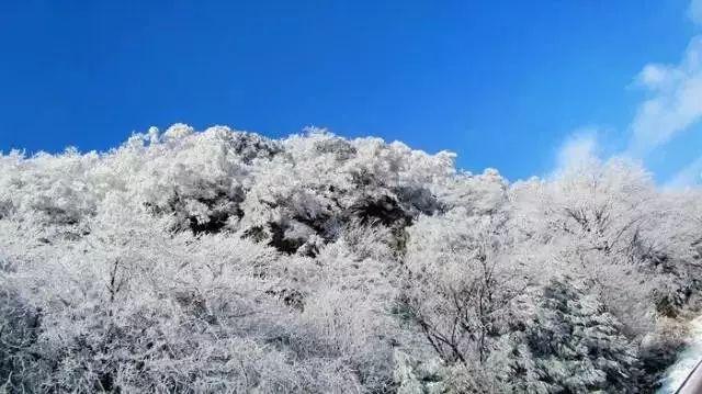 大跳跃的方块